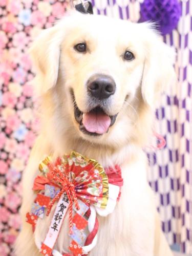 20250130レオくん